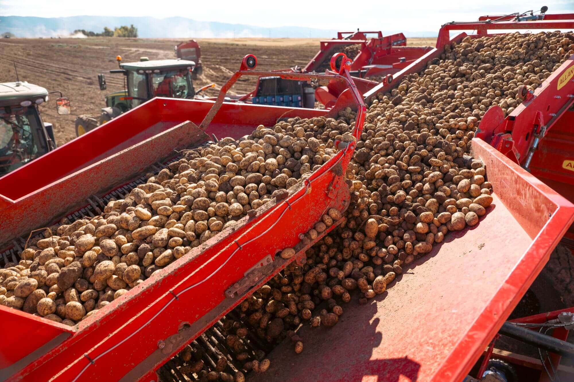 Allan 3-row-harvester and 4-row harvester