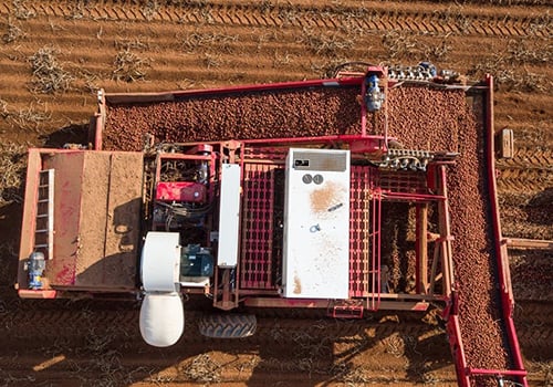 Allan 3-row-harvester