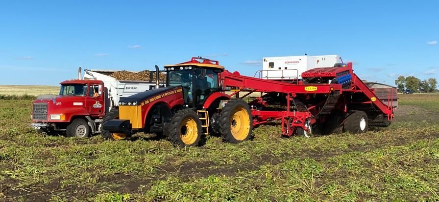 Allan 4-row-harvester