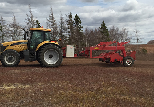 Allan Blueberry Mower