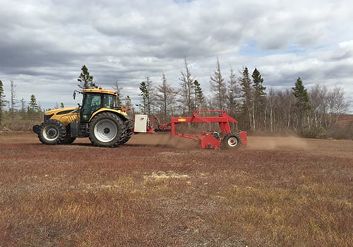 Allan Blueberry Mower